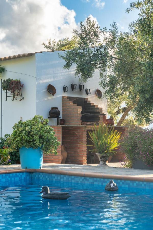 Los Cactus El Gastor Exterior photo
